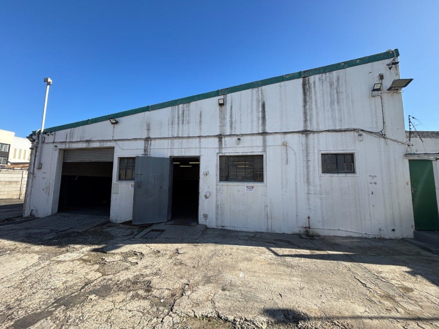 To Let commercial Property for Rent in Paarden Eiland Western Cape